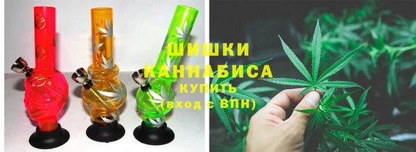 прущие грибы Абинск