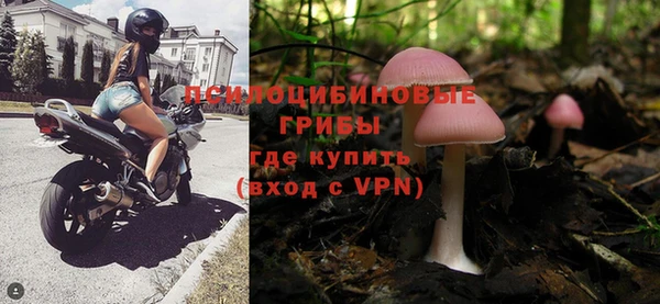 прущие грибы Абинск