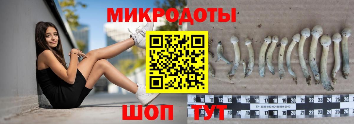 Псилоцибиновые грибы Magic Shrooms Тутаев